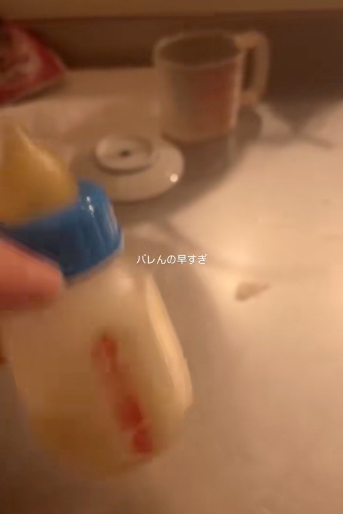 子猫用のごはん