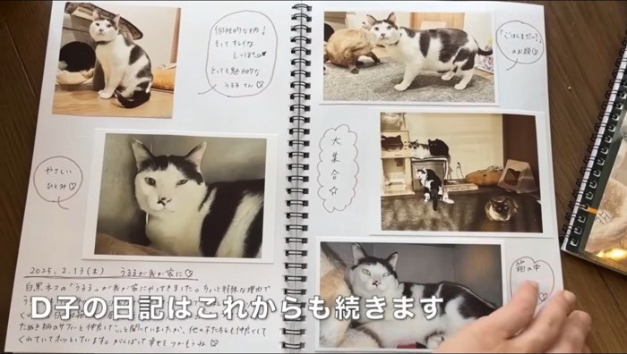 猫の写真が貼られた日記帳