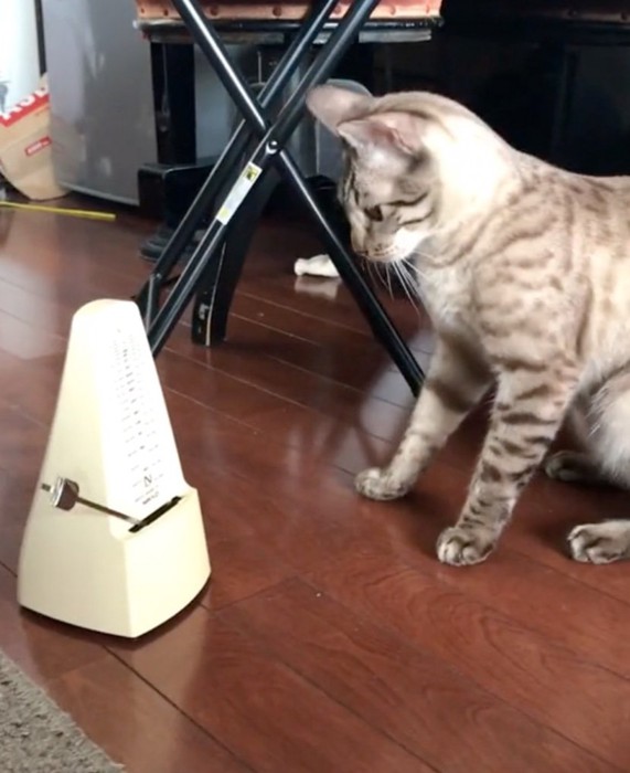 メトロノームを見つめる