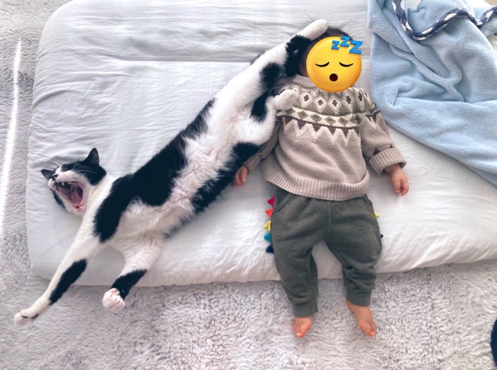 赤ちゃんの頭に後ろ足を乗せて寝そべる猫