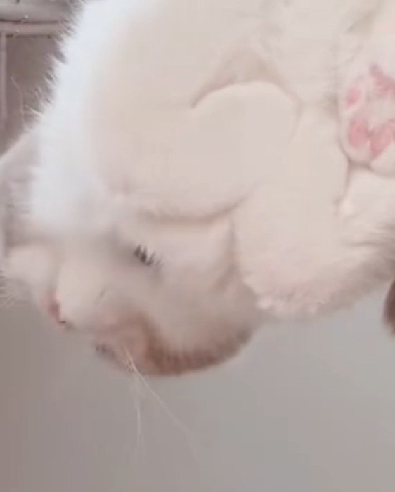 手でハートを作るなぎくん