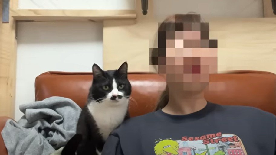 飼い主の後ろでじっと座っている猫