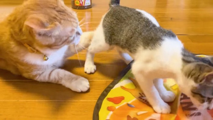 立ち去るららちゃん