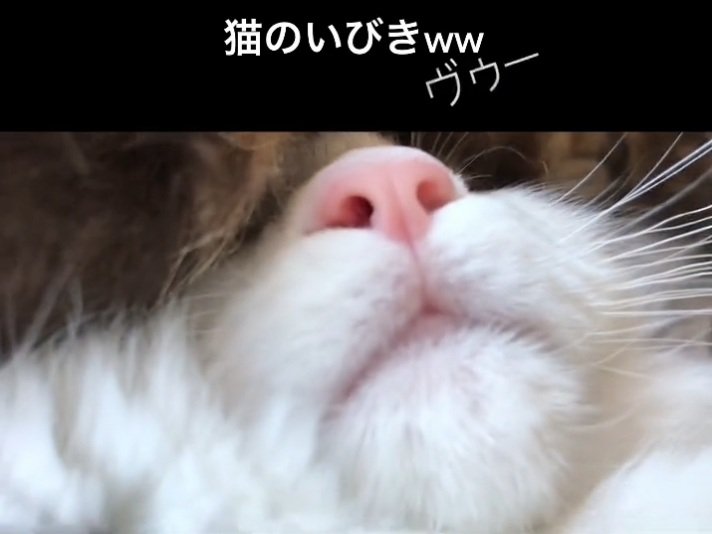 長い時間眠るサチちゃん