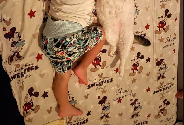 添い寝をしている子どもと猫%％足を上げて同じポーズ