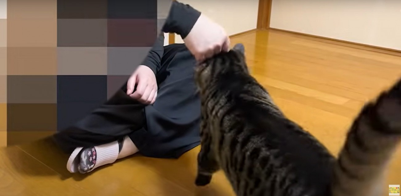 甘えるぴーすけくん