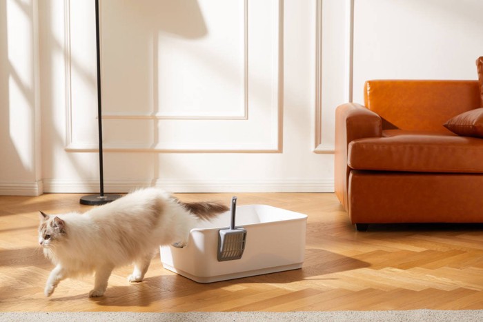 部屋の真ん中トイレ