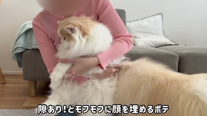 隙あり!