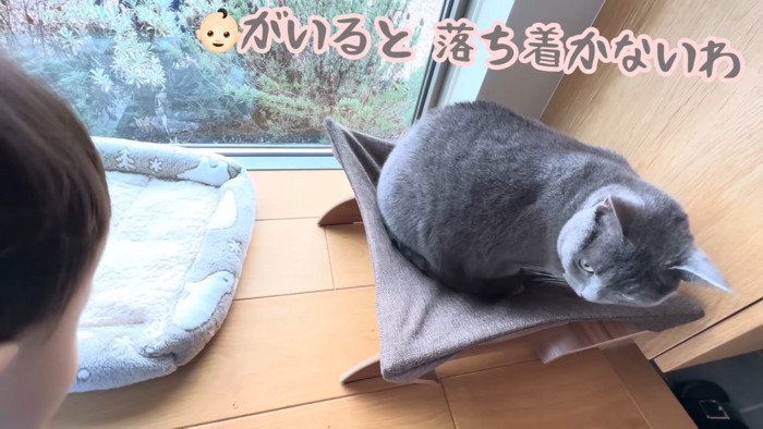 テロップ「赤ちゃん(絵文字)がいると~」
