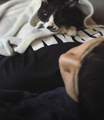 横になったお兄ちゃんの胸元でくつろぐきいちゃん