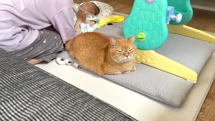 目を閉じた姿