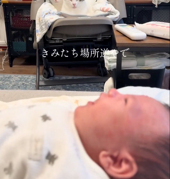 泣き出す赤ちゃん