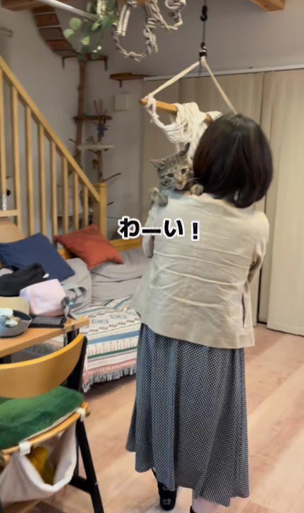 抱っこしてもらう猫