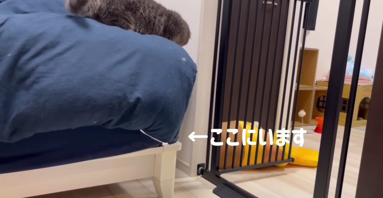 ベッドの下にフランマさんを追い詰めたアクアさん