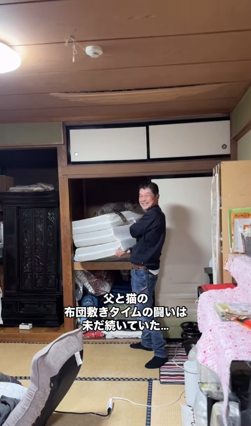 押入れから出そうとしているマットレスにしがみつく猫