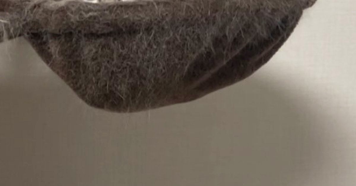 キャットタワーのハンモック