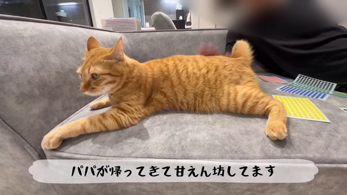 テロップ「パパが帰ってきて~」