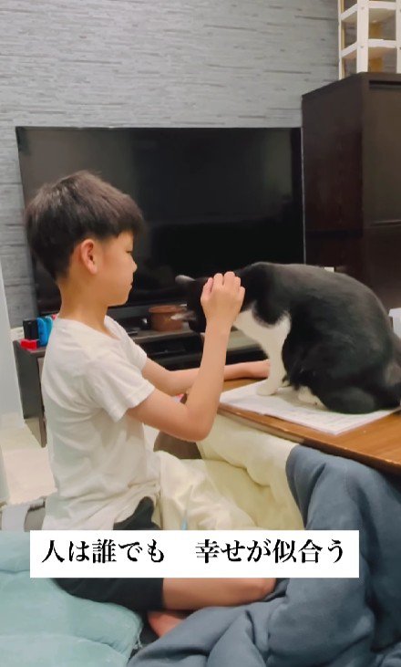 宿題の邪魔をする猫