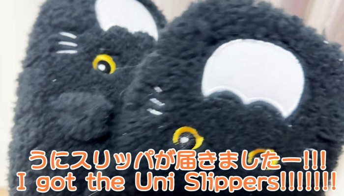 猫のスリッパアップ