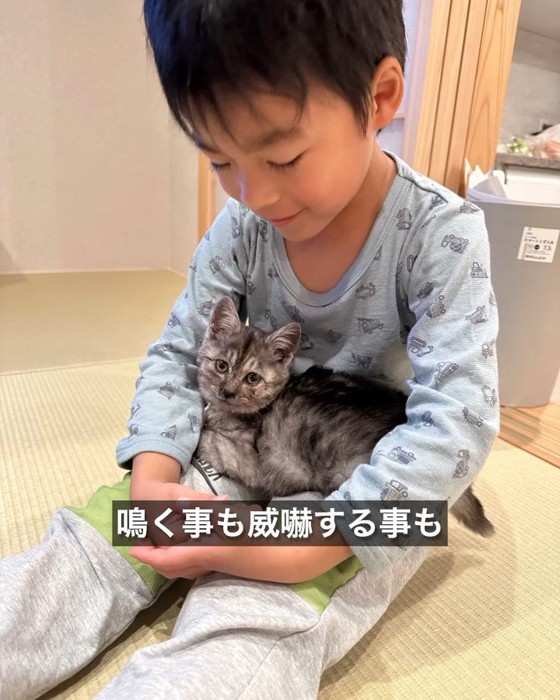 子供の膝の上に乗る子猫