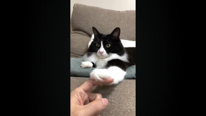 指の背で