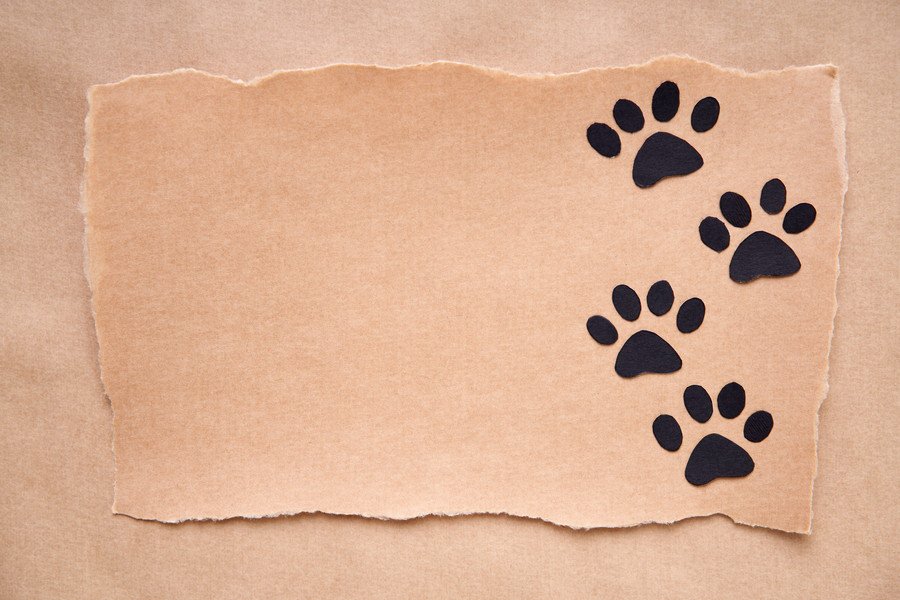 紙に残る足跡のイメージ