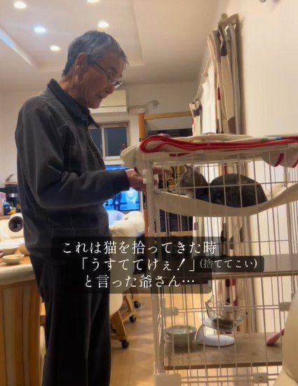 猫と遊ぶお爺ちゃん