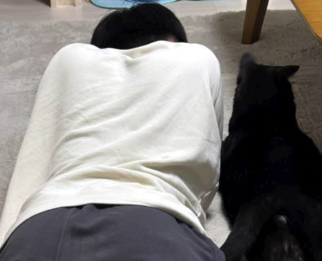 隣に並んで寝転がっている猫と男の子