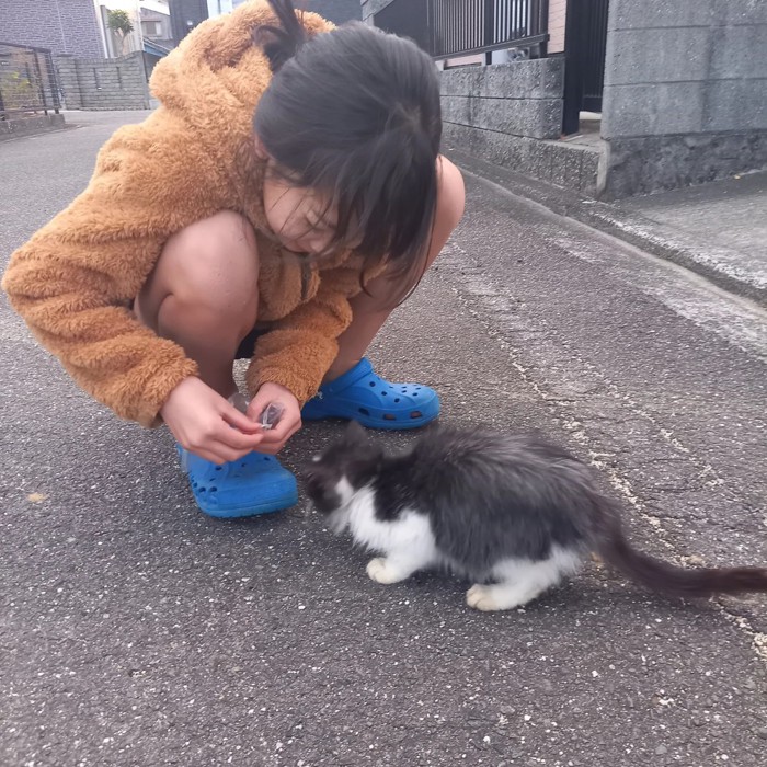 子どもと猫