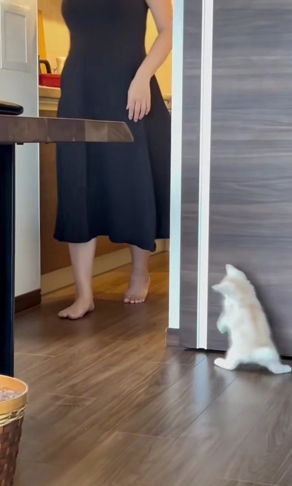 かくれんぼ中のバンビくん