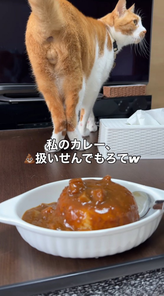 テーブルの縁に立って満足そうな表情を浮かべる猫