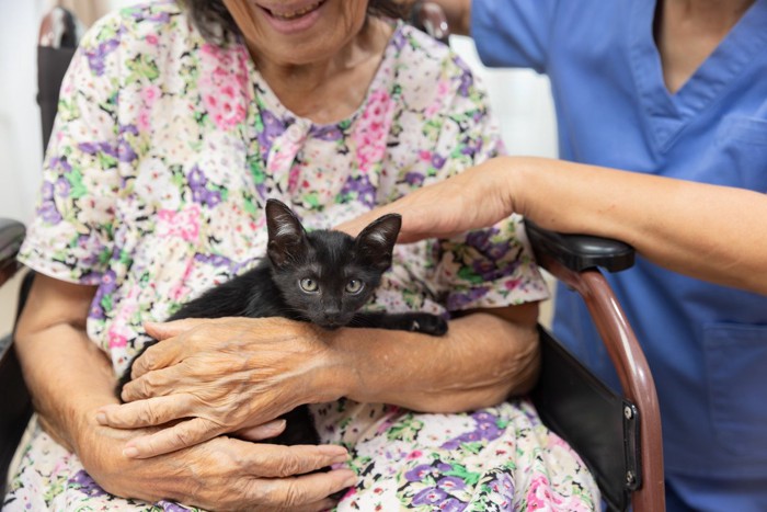 老婦人に抱かれる猫