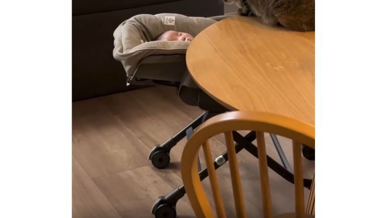 寝ている赤ちゃん