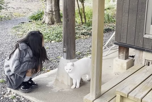 白猫に挨拶する女の子