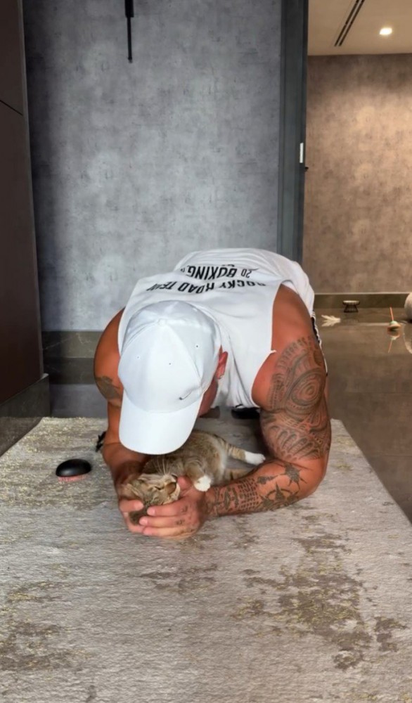 猫を抱きしめる人