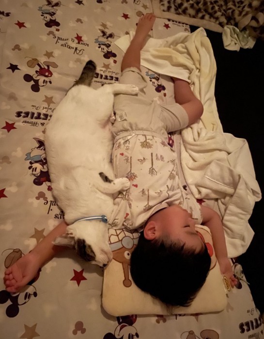 男の子に腕枕で寝る猫