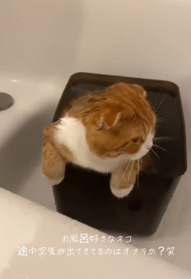 そっぽを向くエトくん