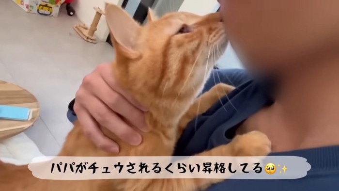 テロップ「パパがチュウされる~」