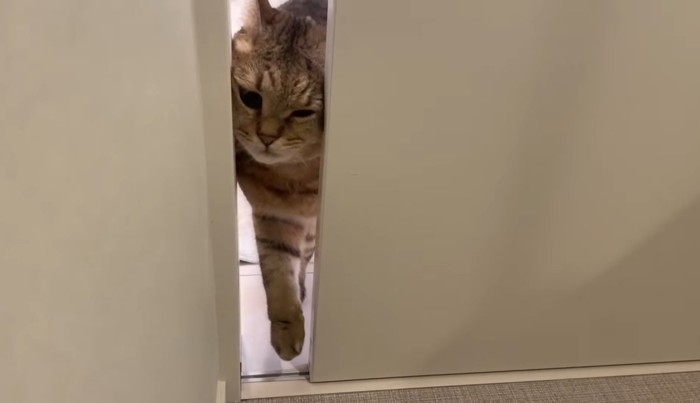 顔をねじ込んで