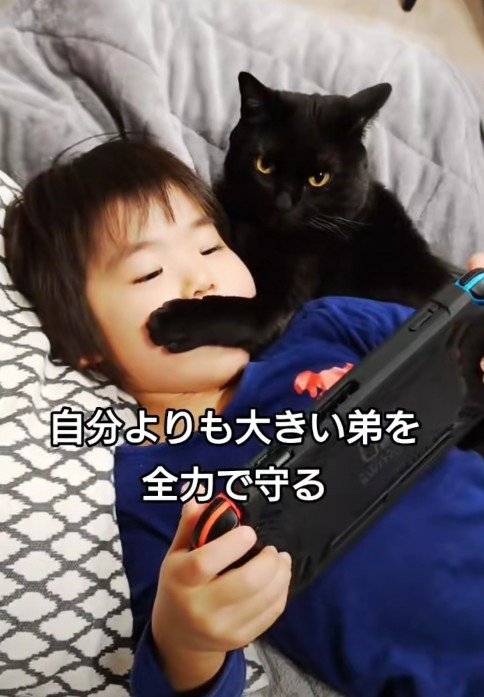 ゲームをする弟くんとジジくん