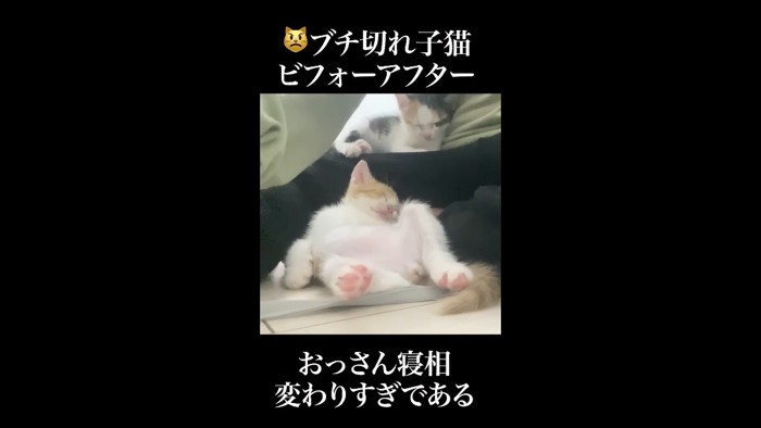 おっさん寝相