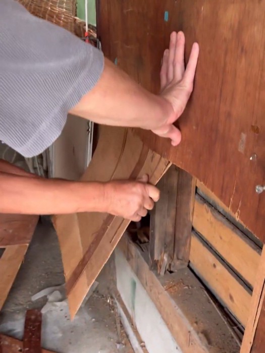 壁をめくる人の手