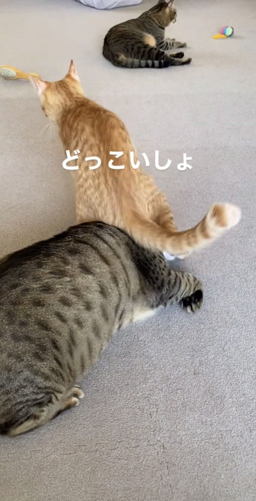 座ったちくわ