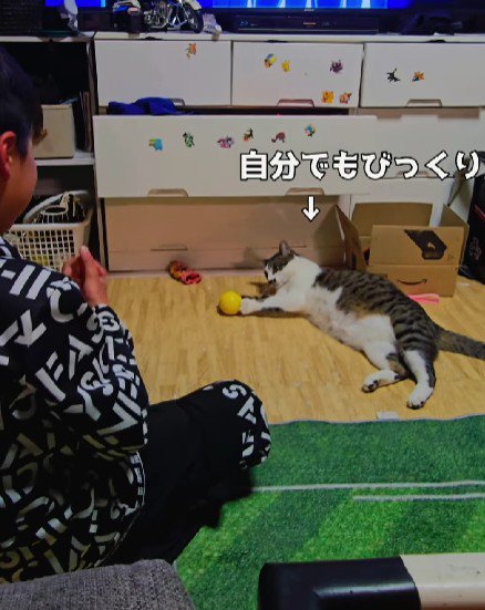 キャッチボールをする男の子と猫