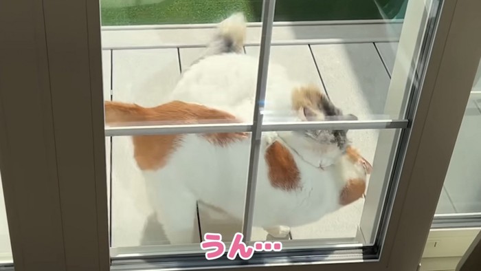 師匠をカプっとしてしまうつくしちゃん