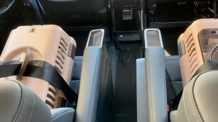 ハウスの中で鳴く猫たち