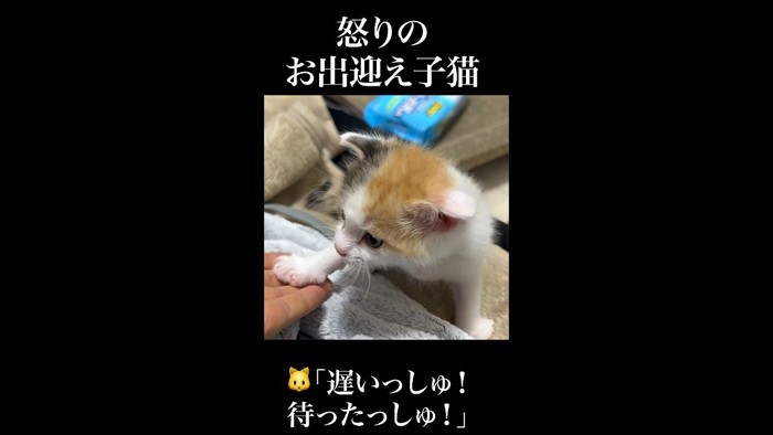 タッチ
