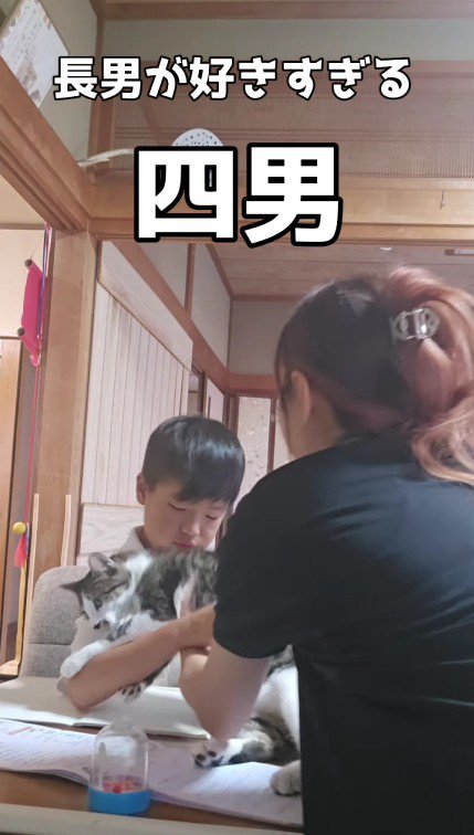 女性に連れて行かれる猫