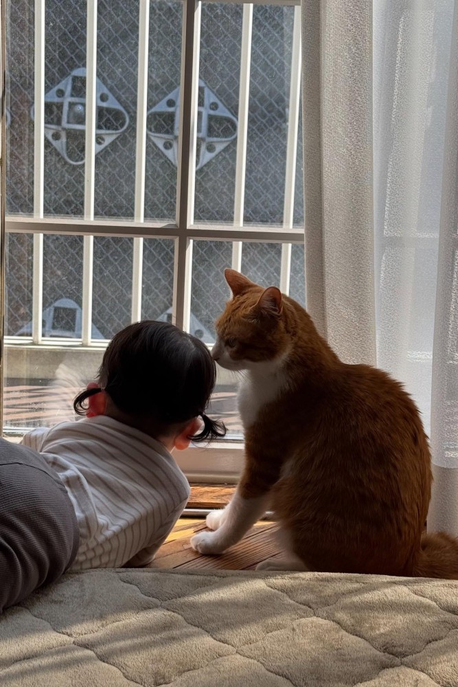 こどもの隣に座る猫