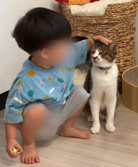 人間の子どもと猫